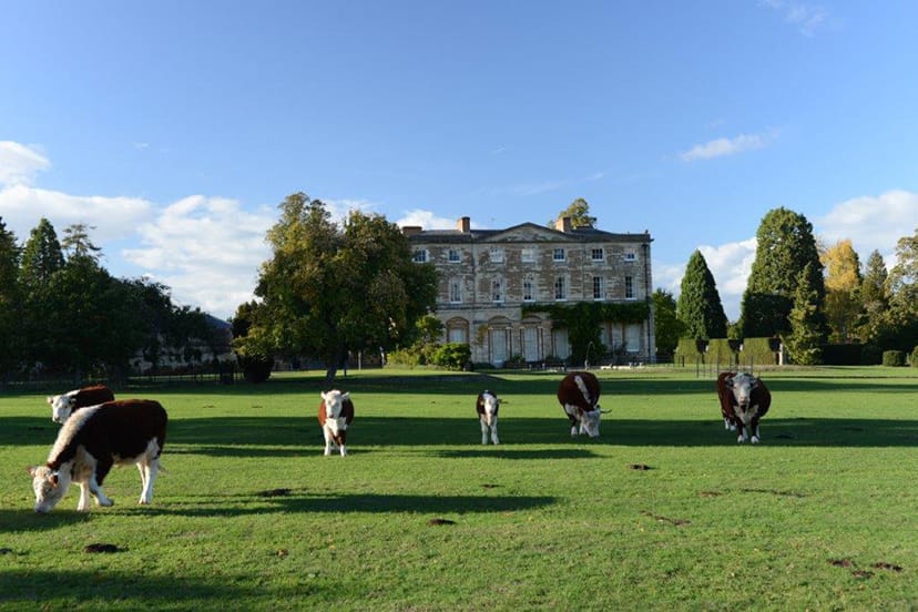 iwp_log_65b98683ec8c2 | Business Times