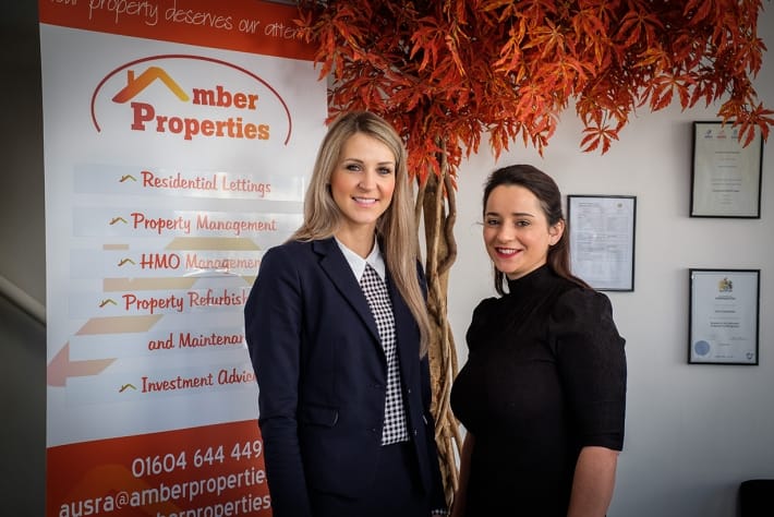 Amber Properties
