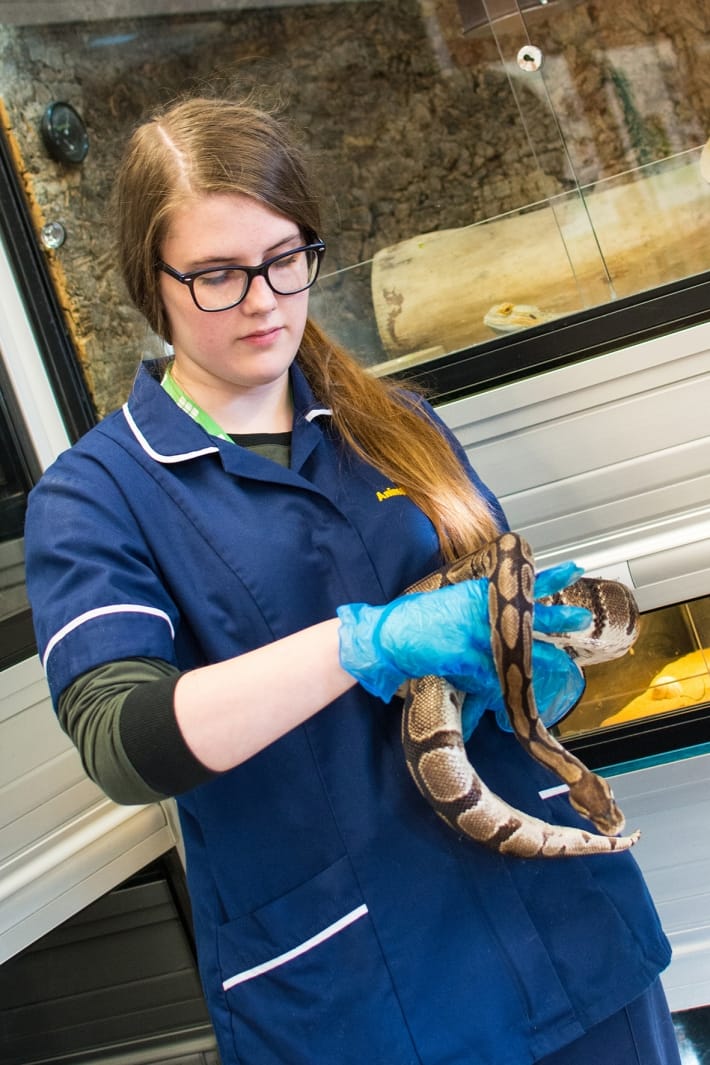 Moulton College