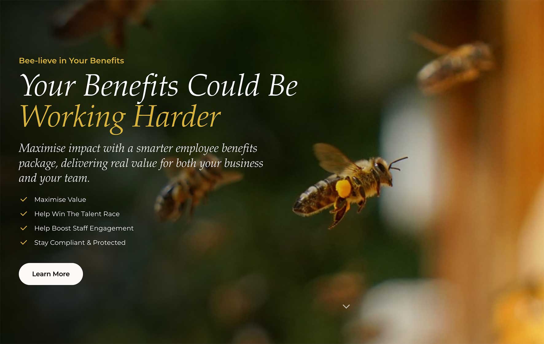 OCM Employee Benefits Advert