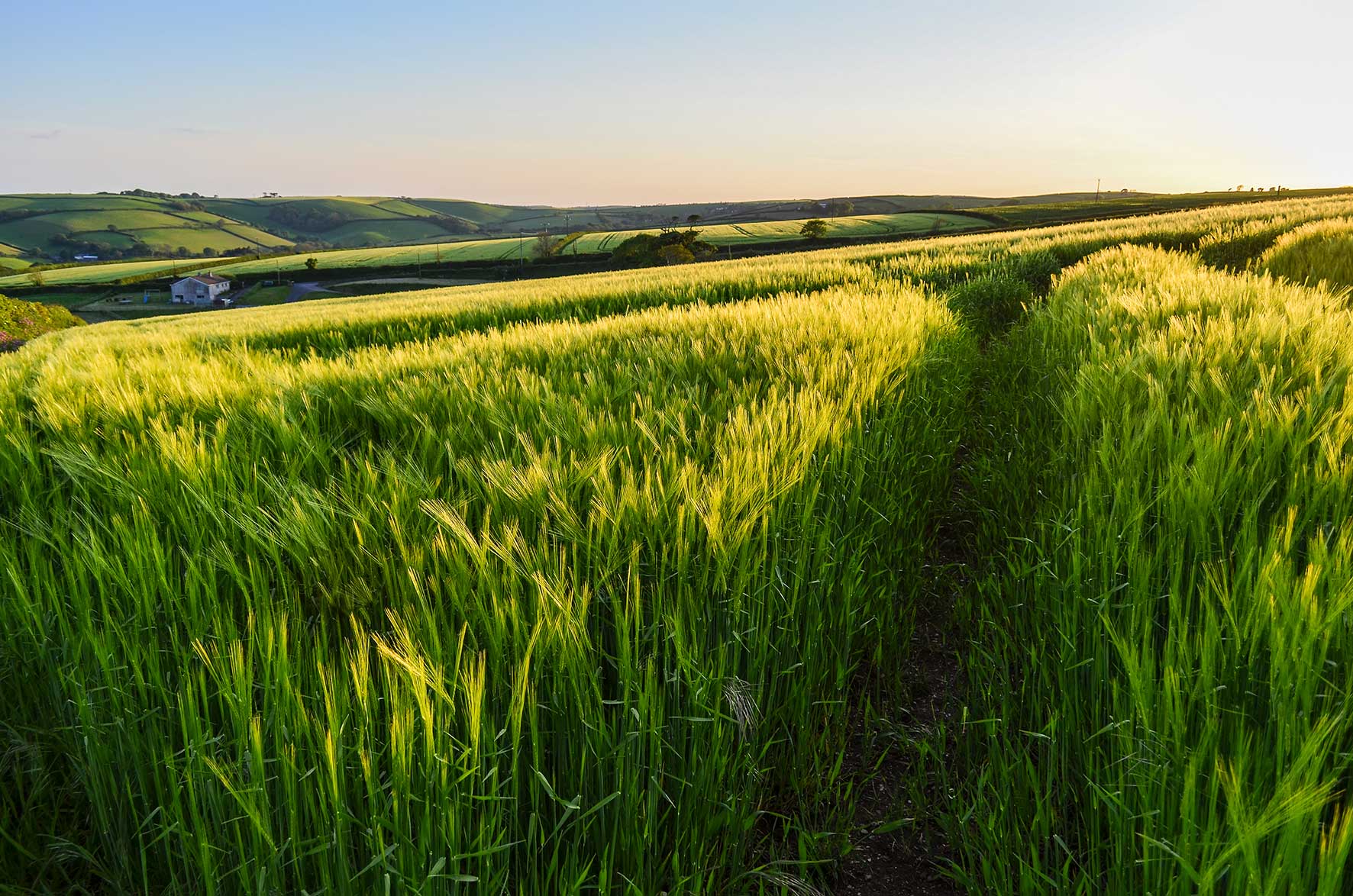 rural-landscape-with-view-across-fields-of-crops