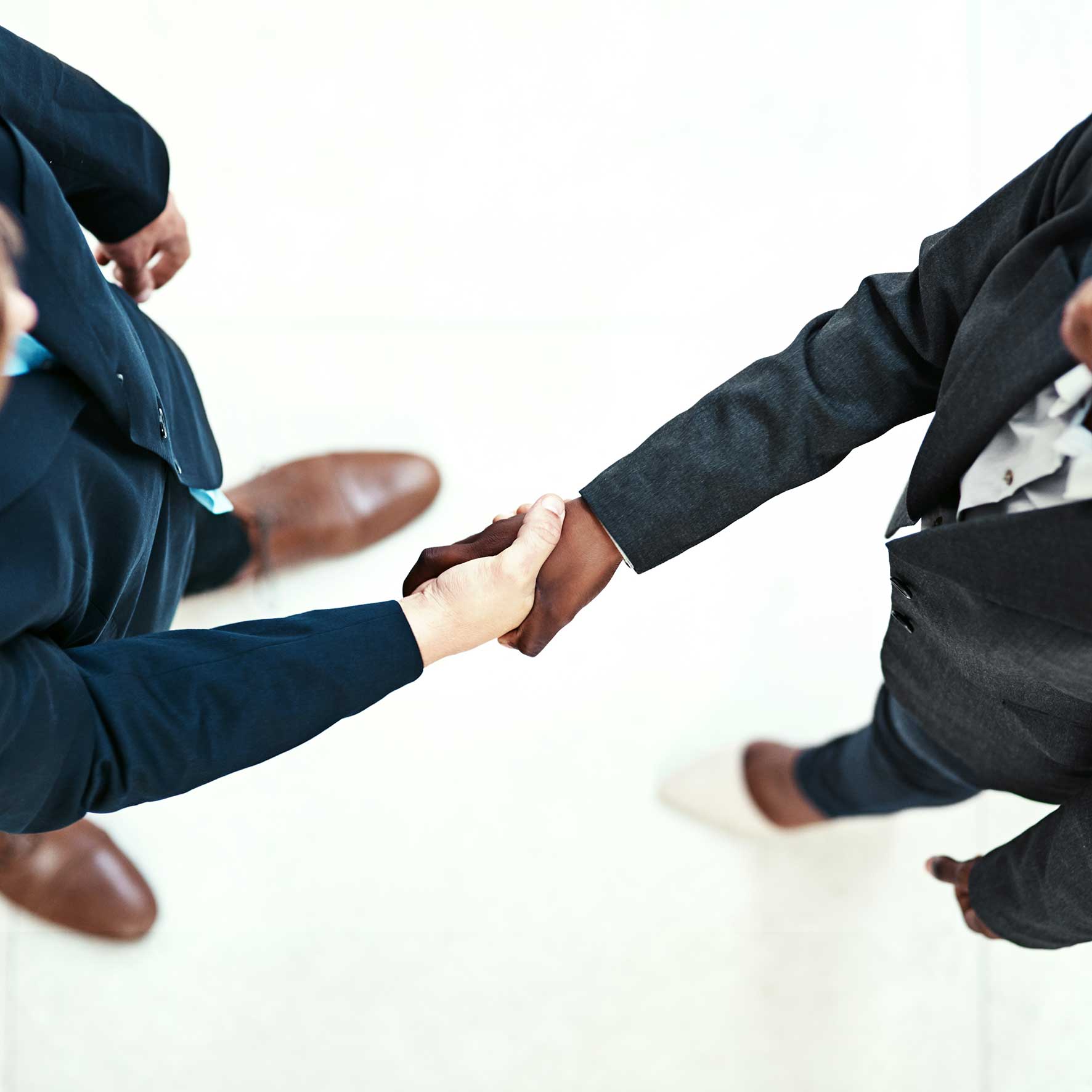 Two business people shaking hands